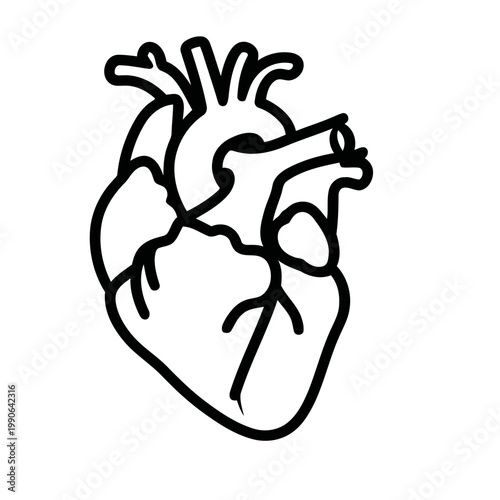 Human Anatomical Heart Line Art Vector Illustration