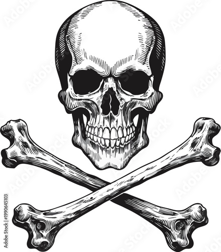 Intricate Skull and Crossed Bones – Detailed Black and White Illustration. Highly detailed vintage skull and crossbones illustration, front-facing human skull with deep eye sockets and realistic teeth