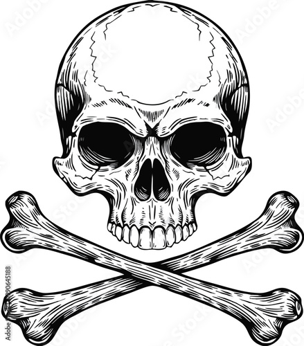 Intricate Skull and Crossed Bones – Detailed Black and White Illustration. Highly detailed vintage skull and crossbones illustration, front-facing human skull with deep eye sockets and realistic teeth