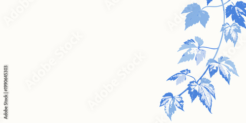 Delicate blue vine with leaves cascades down a white background