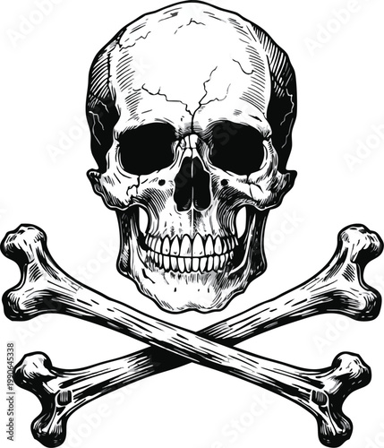 Intricate Skull and Crossed Bones – Detailed Black and White Illustration. Highly detailed vintage skull and crossbones illustration, front-facing human skull with deep eye sockets and realistic teeth