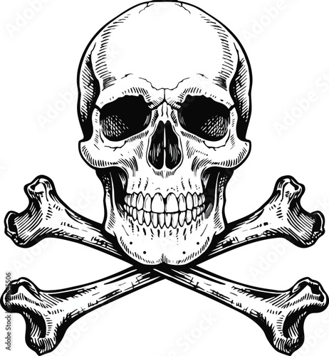 Intricate Skull and Crossed Bones – Detailed Black and White Illustration. Highly detailed vintage skull and crossbones illustration, front-facing human skull with deep eye sockets and realistic teeth