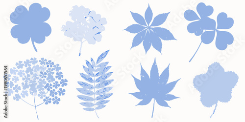 An arrangement of delicate blue botanical illustrations featuring various leaves