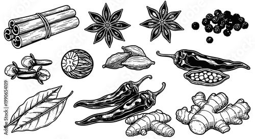 Culinary Herbs and Spices Hand Drawn Sketch Illustration