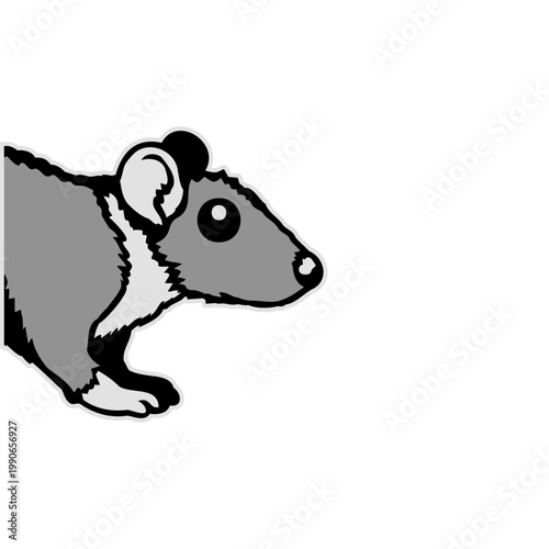 A curious rat caught from the front – just its fluffy head and tiny paws peeking into frame. Funny, cute and full of quiet charm. Perfect for rat lovers and fans of quirky animal humor.