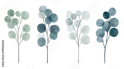 Watercolor illustrations of four stylized eucalyptus branches in shades of blue and green