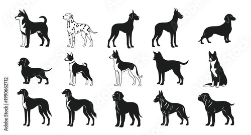 Collection of great dane dog silhouettes a variety of poses and outlines in black and white