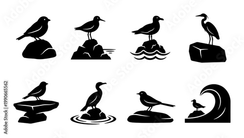 Minimalist coastal bird silhouettes on rocks, set of 8 black sea bird icons, nautical shorebird vector graphics for marine logos and nature branding