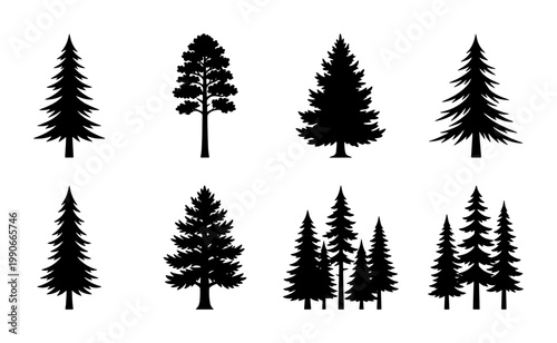 Pine tree silhouettes collection, 8 black evergreen forest vector icons, coniferous spruce and fir tree shapes, minimalist outdoor nature graphics