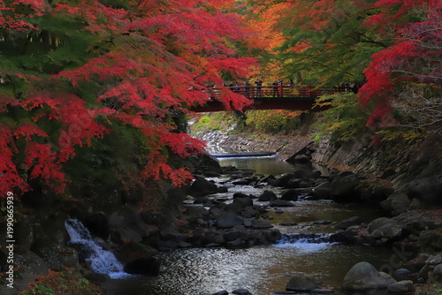 Fotografie 修善寺的楓葉，靜岡縣伊豆，日本
修善寺の紅葉,  静岡県伊豆, 日本
Autumn leaves in Shuzen-temple, Izu, Shizuoka