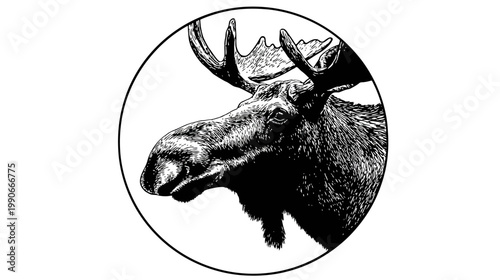 Majestic moose head depicted in monochrome, enclosed in a circular frame