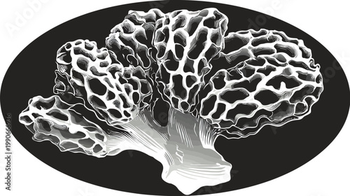 Monochrome illustration of a morel mushroom on a black oval background