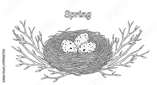 Nest with eggs and branches depicting spring season vector illustration