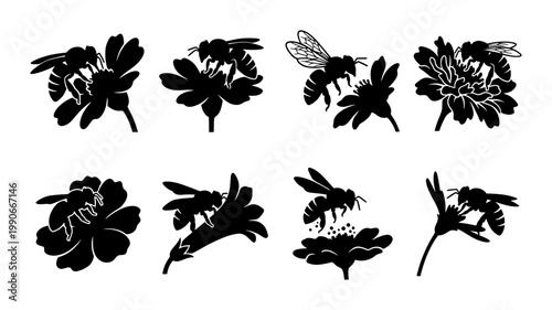 Honey bee silhouette set, black bumblebee icons on flowers, 8 botanical insect vector elements for nature logos and garden branding