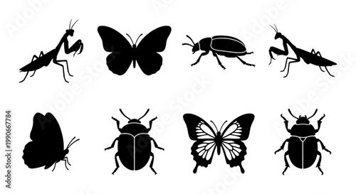 Black insect silhouettes collection, set of 8 vector bug icons including butterfly and praying mantis, minimalist nature wildlife graphics for biology education