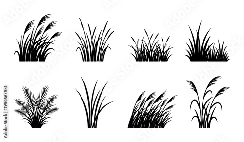 Black grass silhouette vector set, wild meadow plants and field weeds collection, 8 botanical reed and pampas grass elements for landscape design