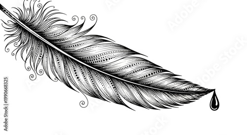 Intricate black and white feather illustration with ink drop detail on white backdrop