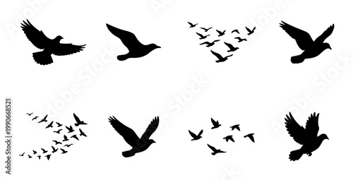 Billede på lærred Black bird silhouettes set, flying pigeon and dove vector icons, flock of birds