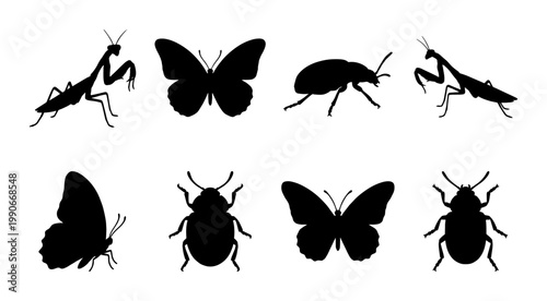 Black insect silhouette collection, set of 8 bug vector icons, butterfly and praying mantis silhouettes, beetle and ladybug shapes for nature design