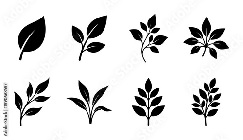 Minimalist leaf icons set, black botanical foliage silhouettes, 8 organic plant branch vector elements for eco-friendly branding and logo design
