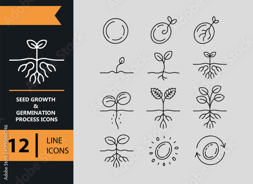 Seed growth and germination process icons for agriculture education