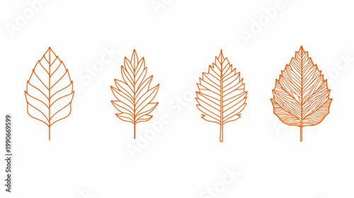 Four stylized orange outline illustrations of leaves against a white background. Each leaf differs in shape