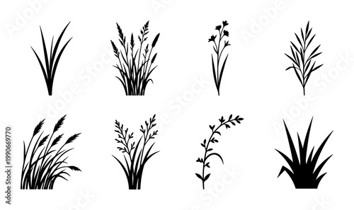 Black grass silhouettes set, 8 botanical vector elements of wild meadow plants, minimalist floral icons for landscape design and nature branding