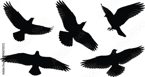Foto Bird silhouette flying, raven crow flock, dynamic wing motion, wildlife icon, fr