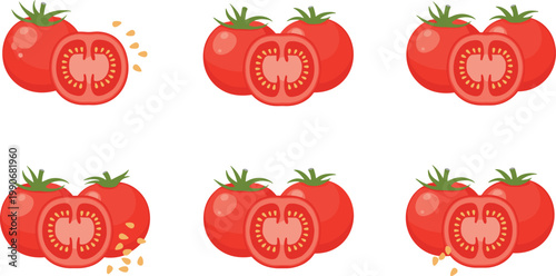 Fresh Tomato Vector Set with Whole and Sliced Variations Showing Seeds and Pulp for Food Illustrations, Cooking Designs and Organic Ingredient Graphics