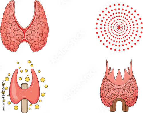 Thyroid Gland Medical Illustration Set Showing Anatomy, Hormone Activity, and Disease Conditions for Healthcare Education, Endocrinology Concepts, and Scientific Design Projects