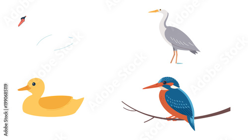 Feathered Friends: A vibrant collection of waterfowl, showcasing the beauty of a swan, heron, duckling, and kingfisher.
