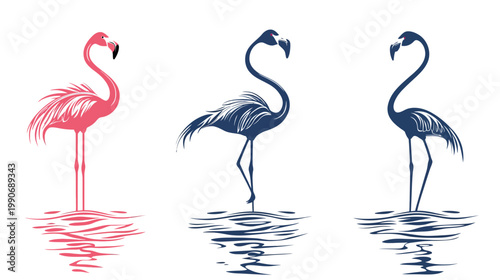 Three stylized flamingo illustrations in pink and blue, with reflections on water