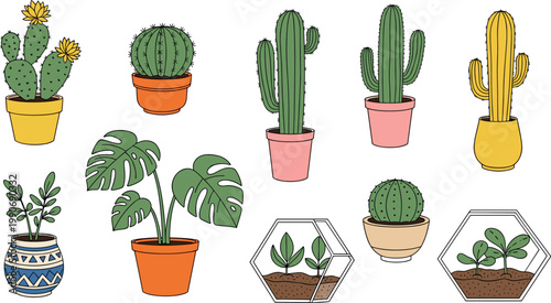 Collection of indoor house plants and cacti in decorative pots including monstera and terrarium succulents isolated on white background vector.