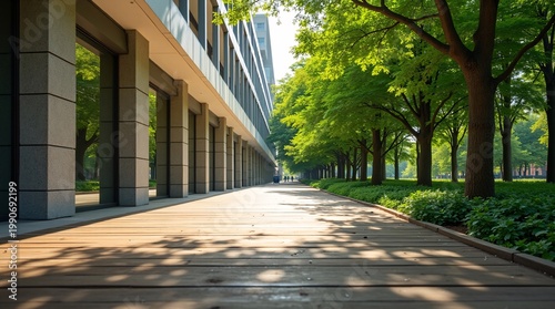 Sunlit wooden walkway beside modern minimalist building and lush green tree grove