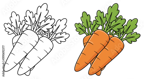 Carrot fresh vegetable bunch with leaves healthy organic food vector illustration