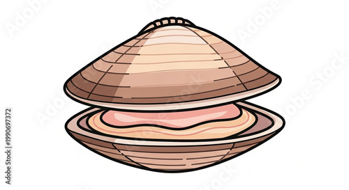 Clam Shell Opening Wide Slowly.