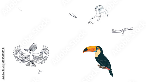 Colorful Toucan Illustration: Captivating illustration of a toucan. Showcasing the unique beauty of tropical avian.