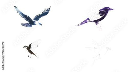 Soaring Free: A series of vibrant illustrations depict different birds in mid-flight, showcasing graceful movement and delicate feather details.