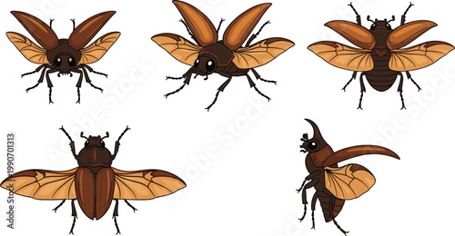 Beetle Insect Vector Illustration Set with Detailed Brown Bugs in Different Poses for Entomology, Nature Study, Wildlife Graphics, and Educational Design Projects