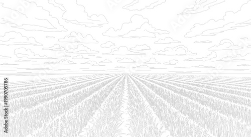 Stylized Aerial View of Agricultural Crop Field under Cloudy Sky, Rural Landscape