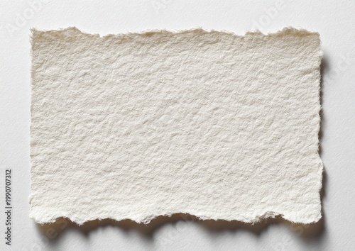 Textured, rough-edged handmade paper fragment on a white surface