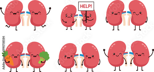 Cute Cartoon Kidney Character Set Showing Healthy, Sick, Crying, Help Concept and Detox Activities for Medical, Healthcare, Anatomy, and Educational Vector Illustrations