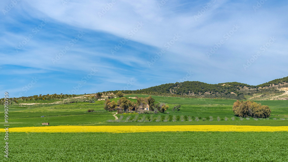 Fototapeta premium Paysage printanier du nord-ouest de la Tunisie