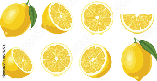 Cartoon Vector Illustration of Whole Lemons, Slices, and Wedges with Green Leaves Showing Fresh Citrus Fruit for Culinary and Educational Designs
