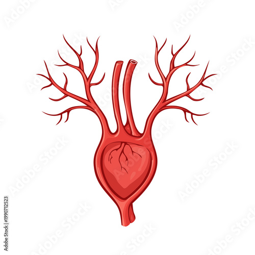 Red abstract heart shape with branching red arteries and veins symbolizing life and circulation