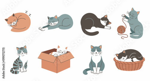 Set of Cute Cats in Various Poses Vector Illustration Featuring Playful Kittens Sleeping Sitting and Playing with Yarn for Pet Care and Veterinary Design Projects