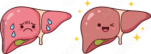 Cartoon Vector Illustration Showing Healthy and Unhealthy Human Liver with Happy and Sad Faces for Medical, Educational, and Awareness Designs