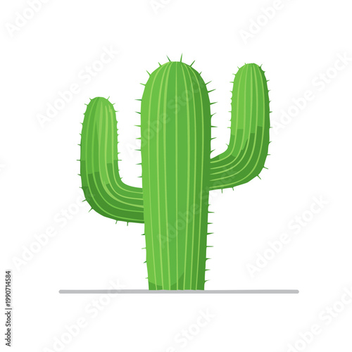 Vibrant green saguaro cactus with spiky arms in bright sunlight