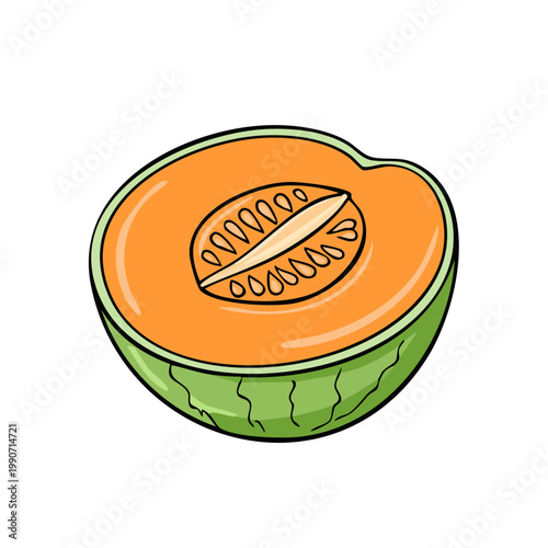 Vibrant cross-section of a ripe cantaloupe melon with bright orange flesh and seeds