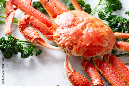 cooked crab on a white background
